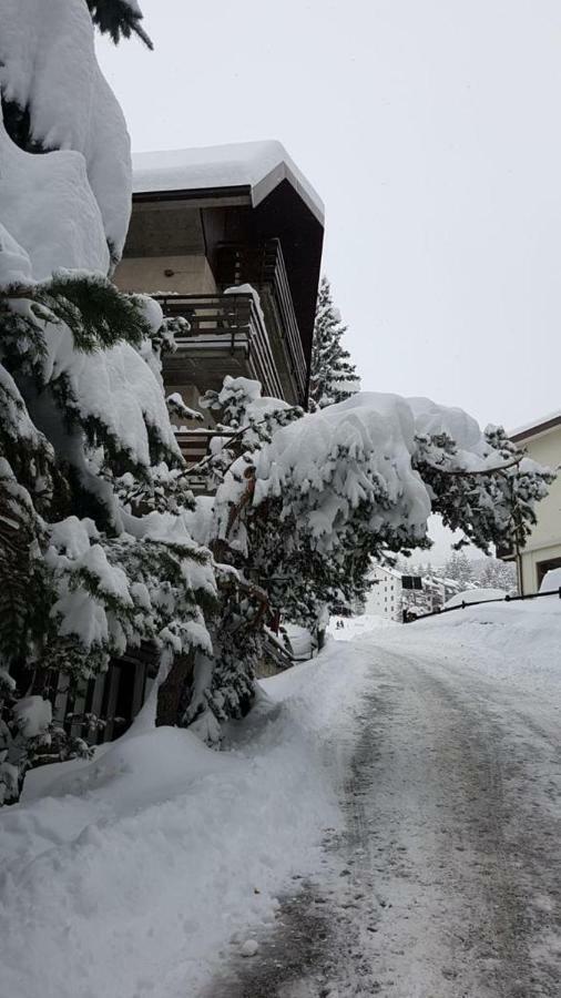The Closest Location To The City Center And Chairlift Oulx Exterior foto